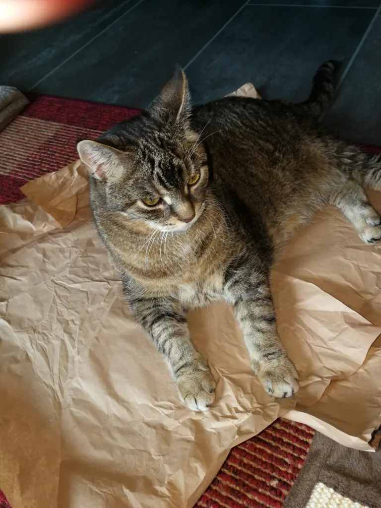 Condolence image of Heike
