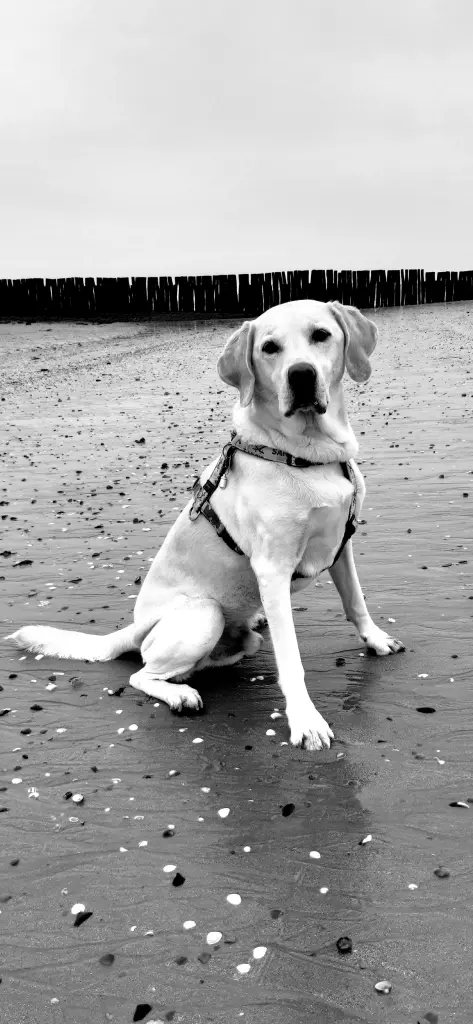 Condolence image of Andrea