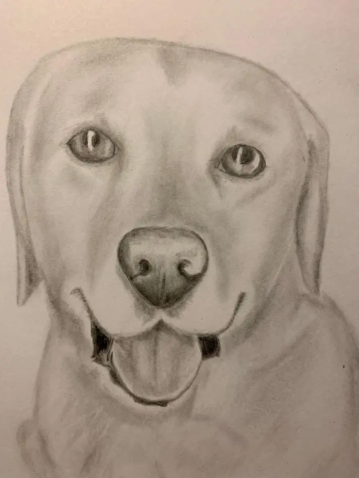 Image from Marley