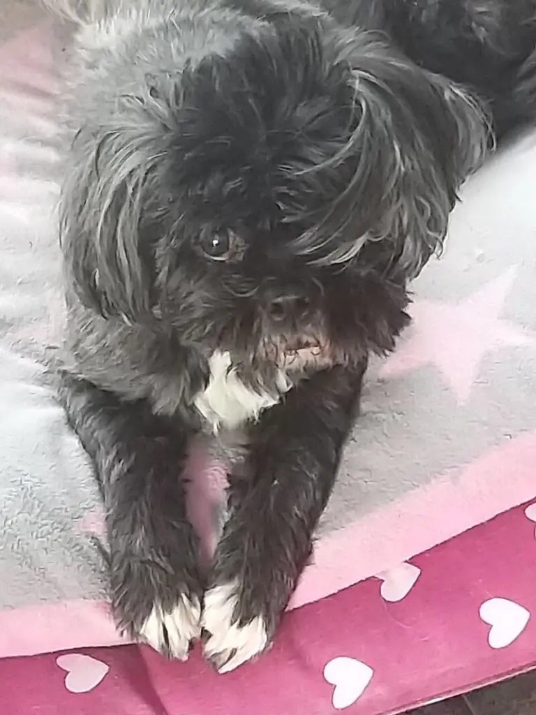 Condolence image of Frieda