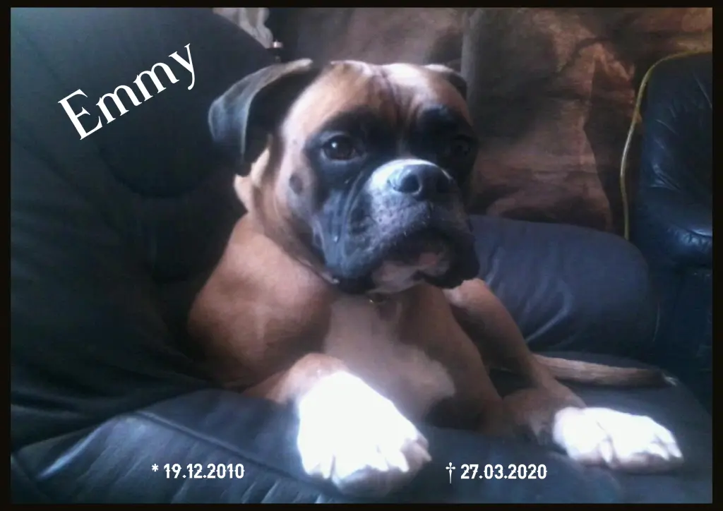 Image from Emmy