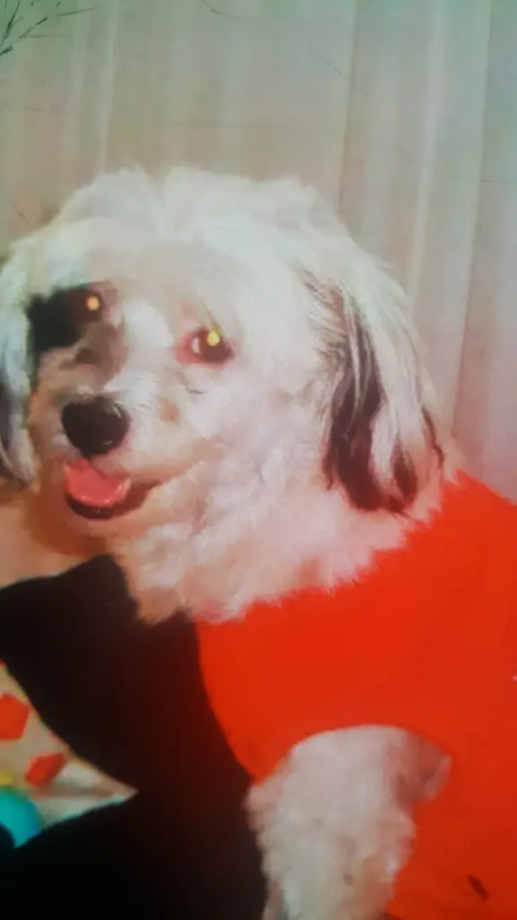 Condolence image of Oksan
