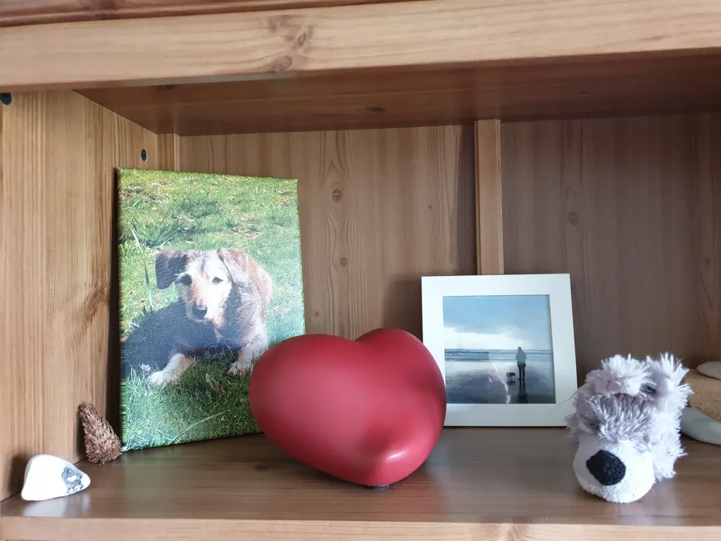Condolence image of Nicole mit Seelenhund Oskar ganz tief im Herzen