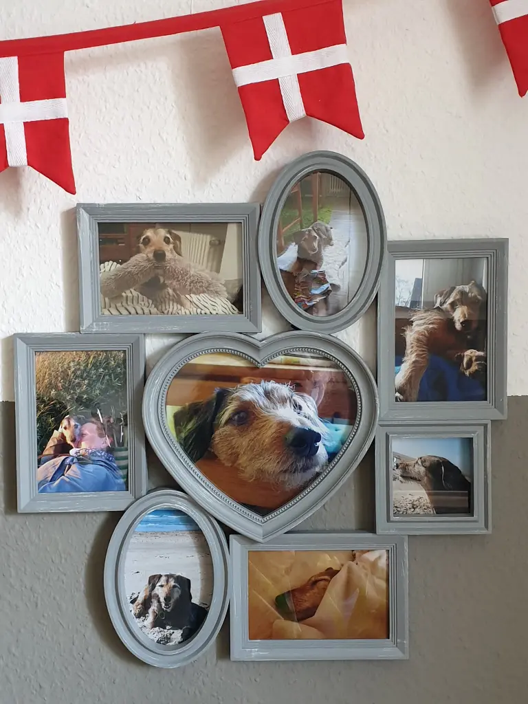 Condolence image of Nicole mit Seelenhund Oskar ganz tief im Herzen