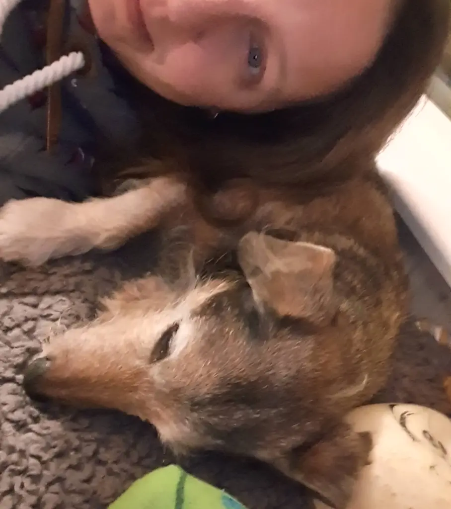 Condolence image of Nicole mit Seelenhund Oskar ganz tief im Herzen