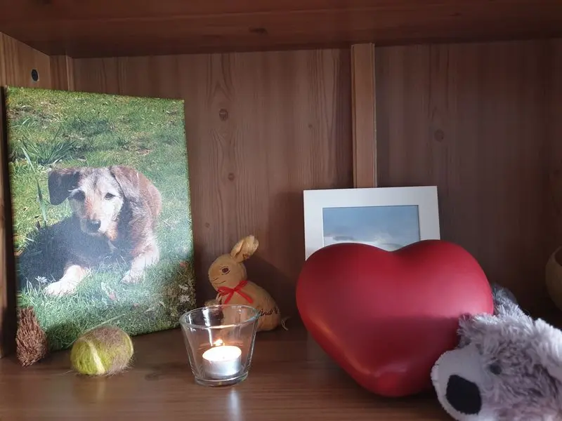 Condolence image of Dein Frauchen, das dich tief im Herzen trägt und sich so sehr auf unser Wiedersehen freut...