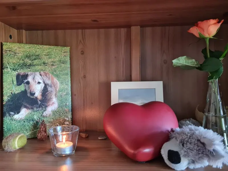 Condolence image of Dein Frauchen, das dich tief im Herzen trägt und sich so sehr auf unser Wiedersehen freut...