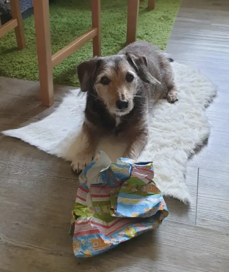 Condolence image of Dein Frauchen, das dich tief im Herzen... ❤️