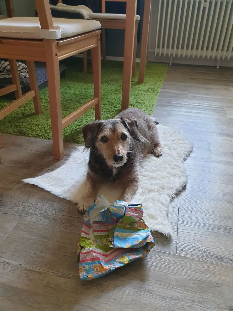 Image from Oskar
