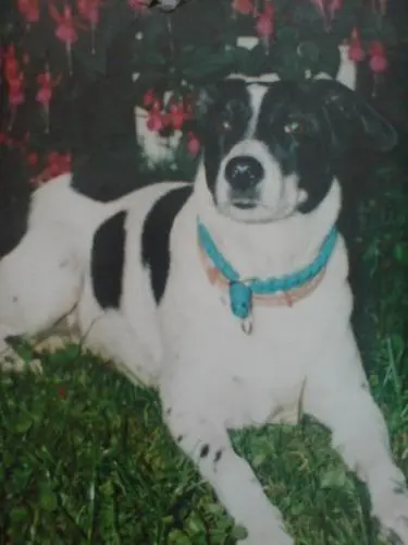 Bild von Tessy
