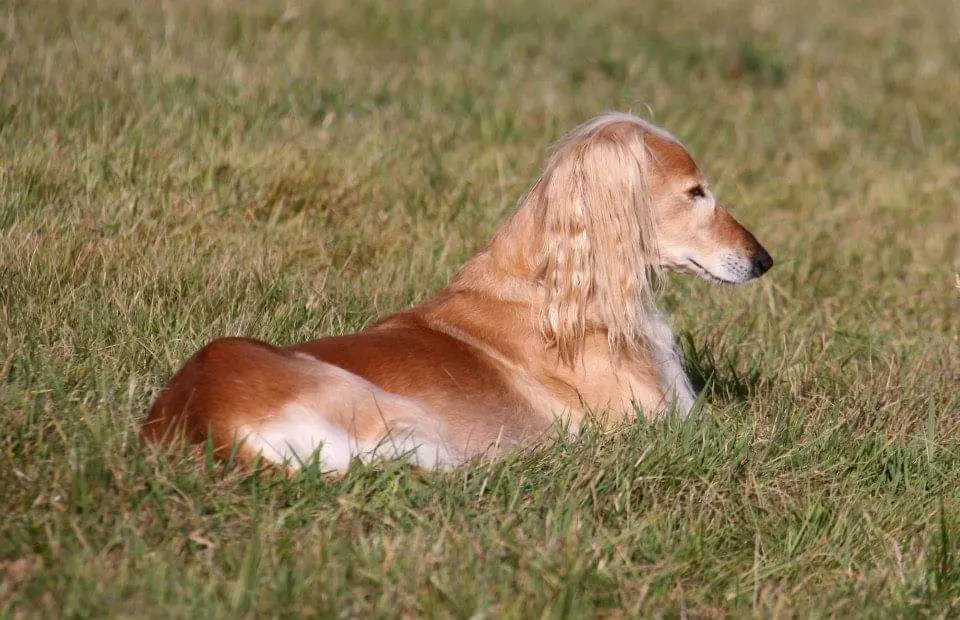 Condolence image of Ute