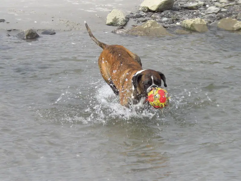 Image from Athos