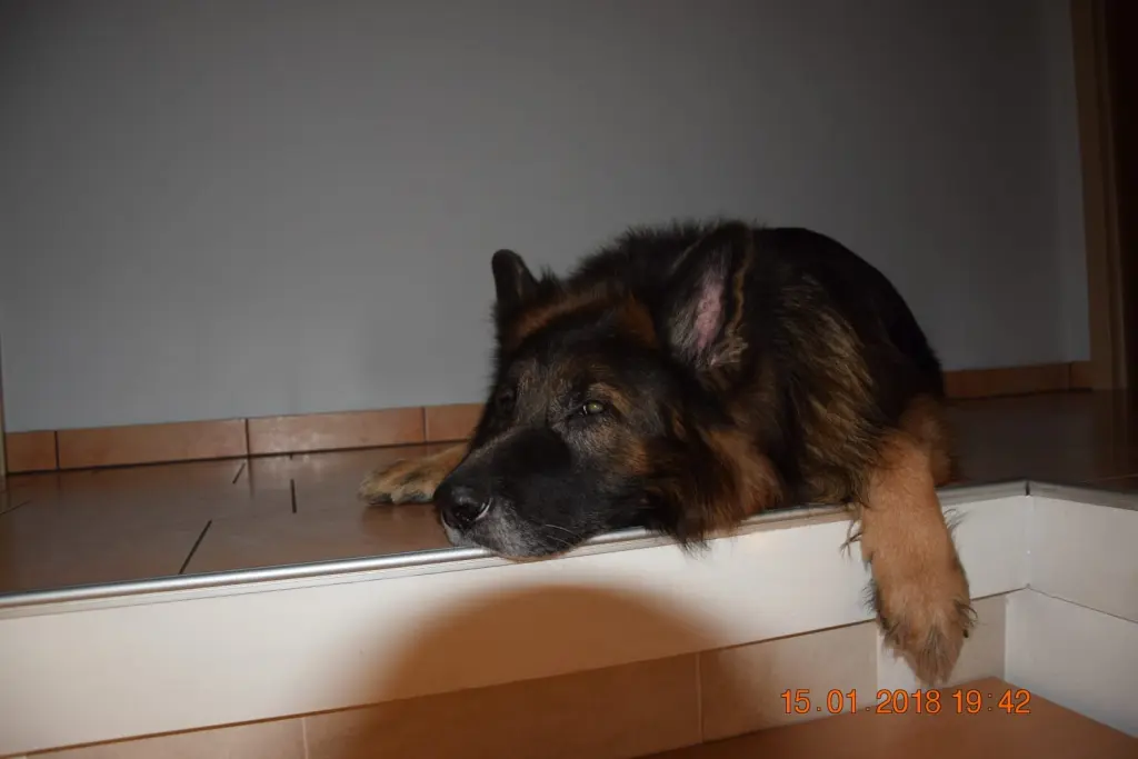 Condolence image of Birgit