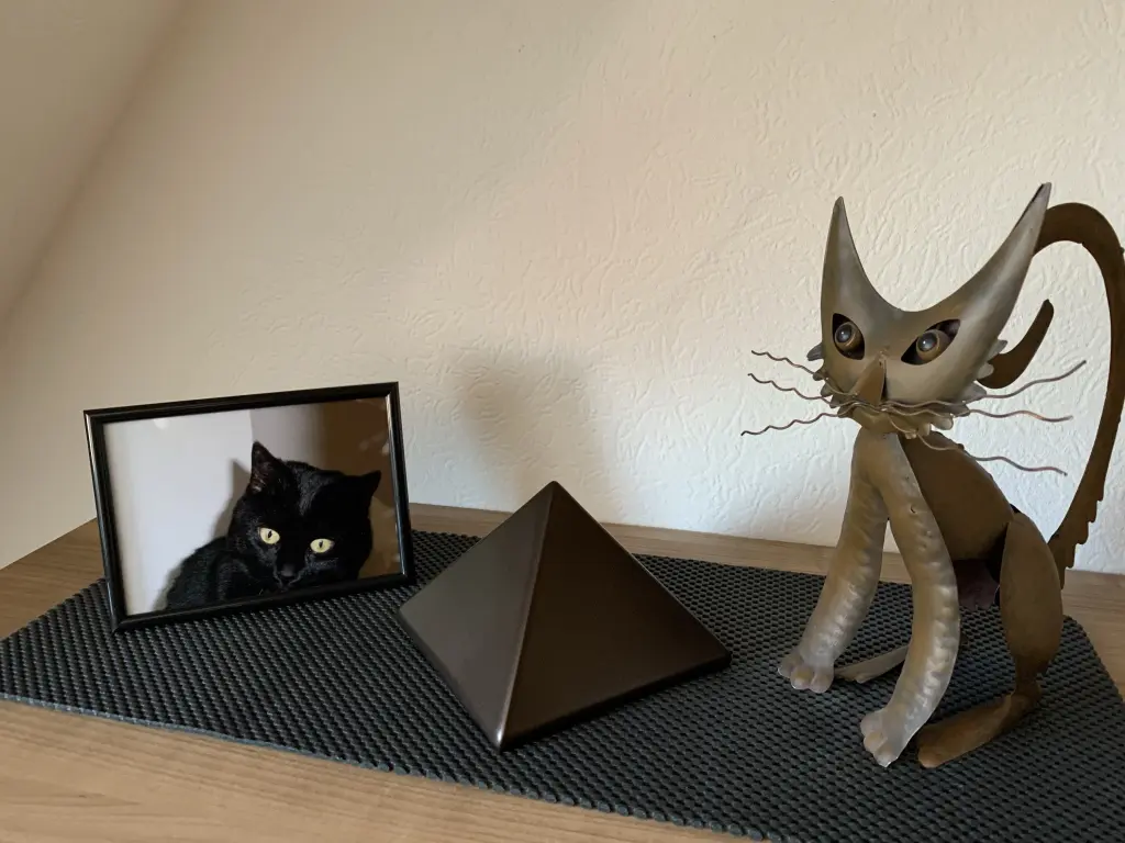 Image from Minka