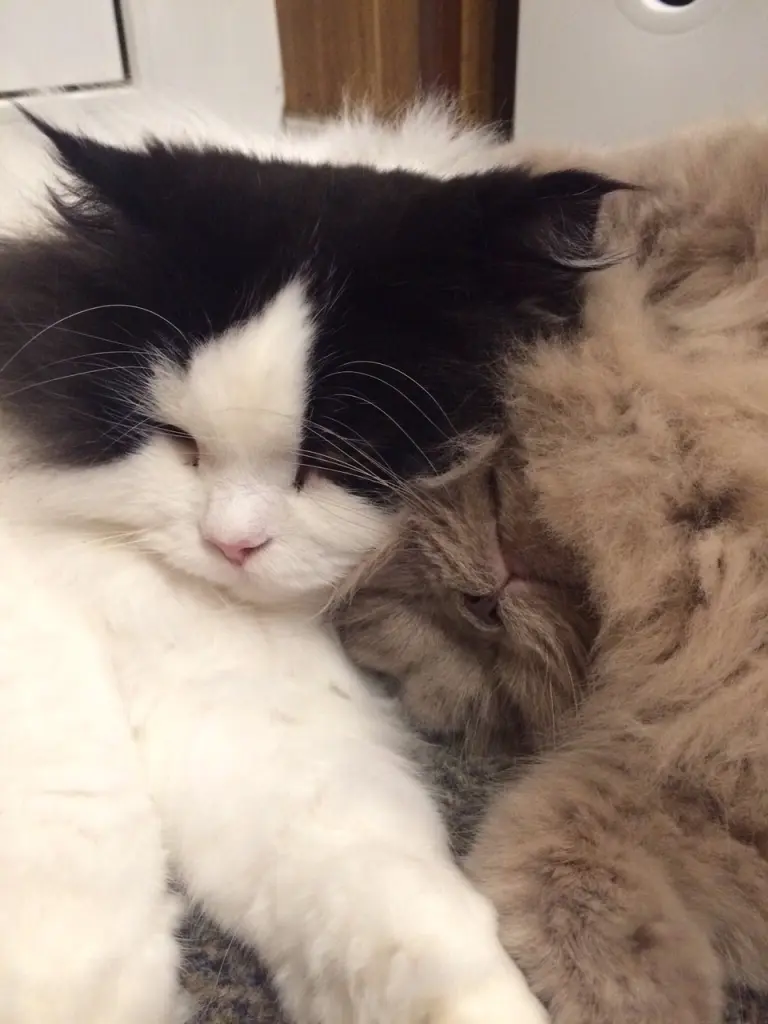 Condolence image of Martina