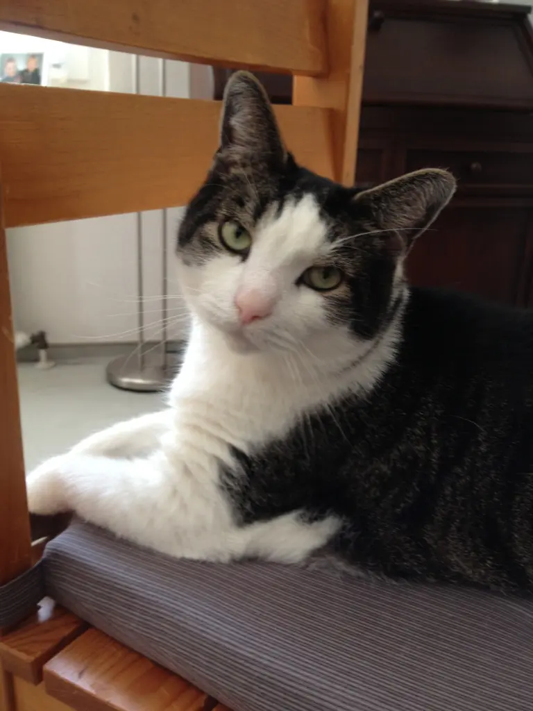 Andachtsbild von Petra mit Timmy im Herzen(+8.1.20)