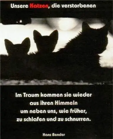 Andachtsbild von Sven