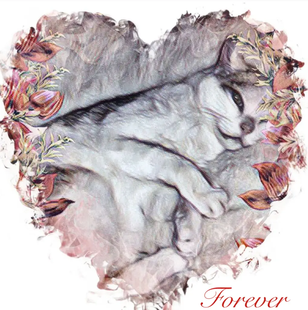 Condolence image of Ulrike woryna