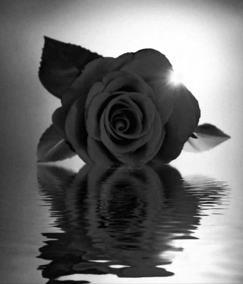 Condolence image of Ulrike