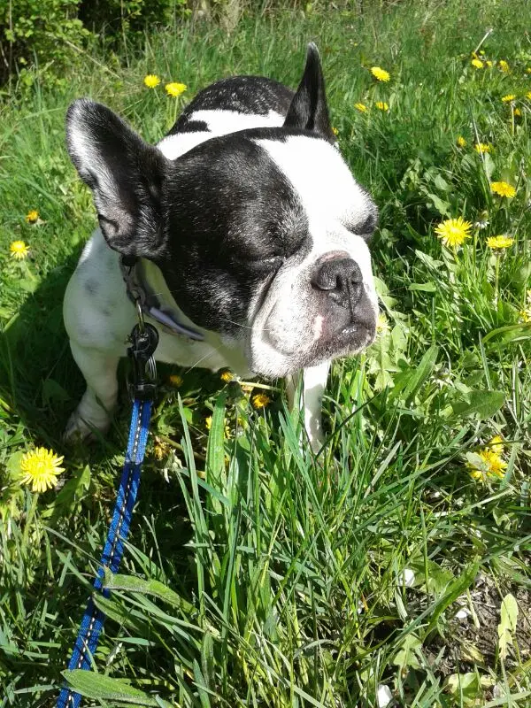 Image from Uschi