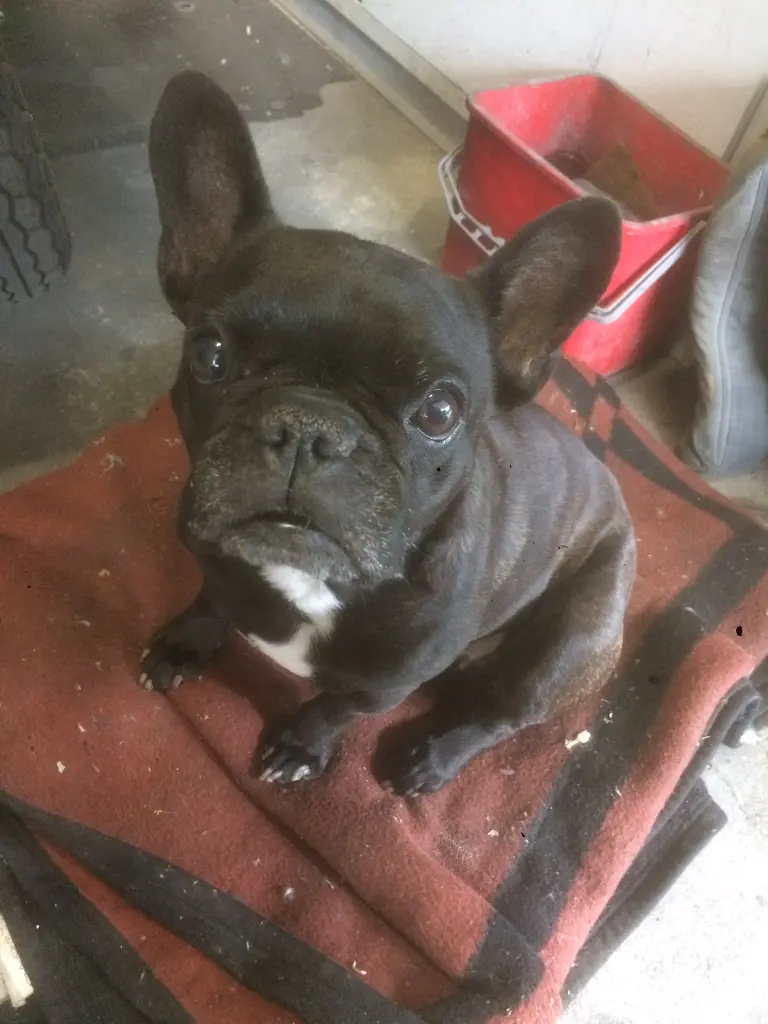Condolence image of Patrick