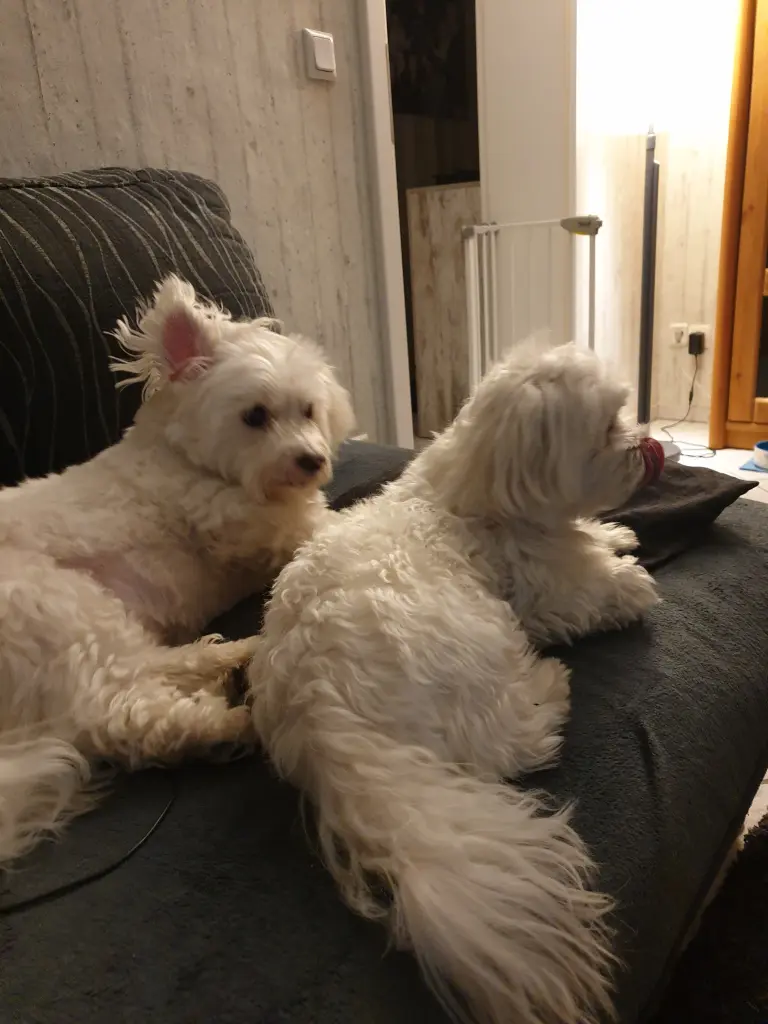 Image from Lucky