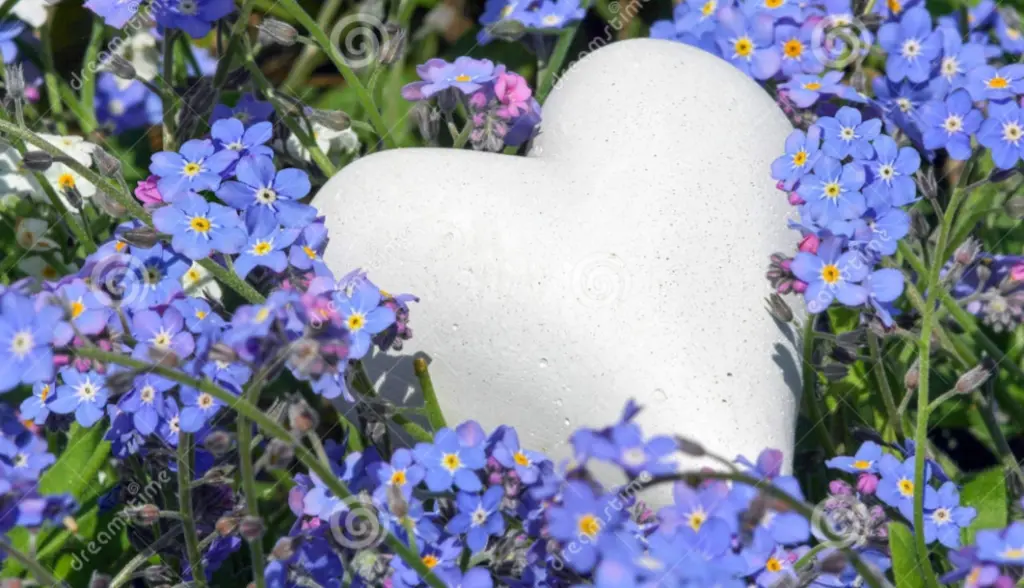 Condolence image of Mama