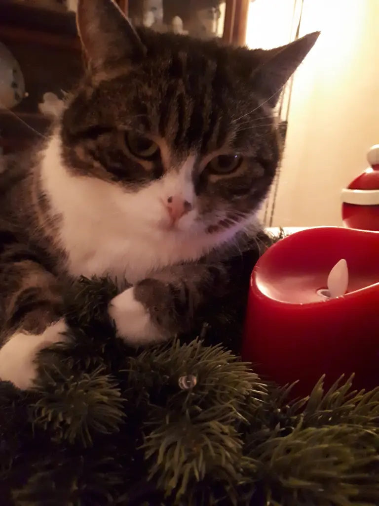 Condolence image of Mama