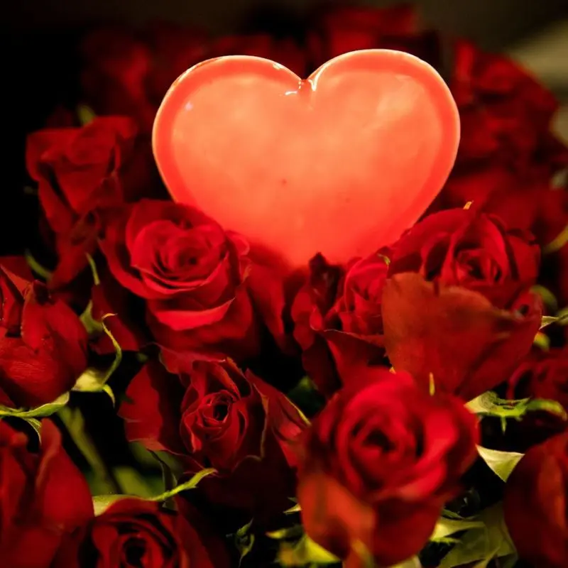 Condolence image of Valentinstag