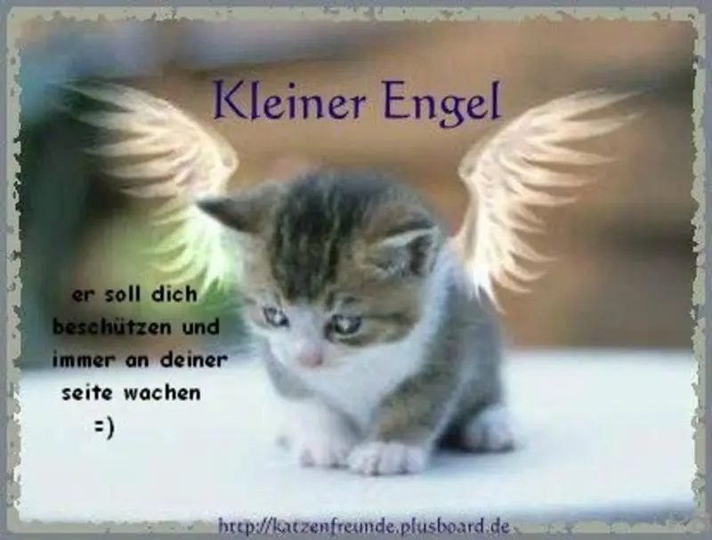 Condolence image of Gute Nacht ⭐