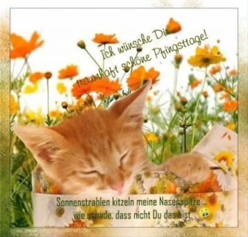 Condolence image of Schöne Pfingsten