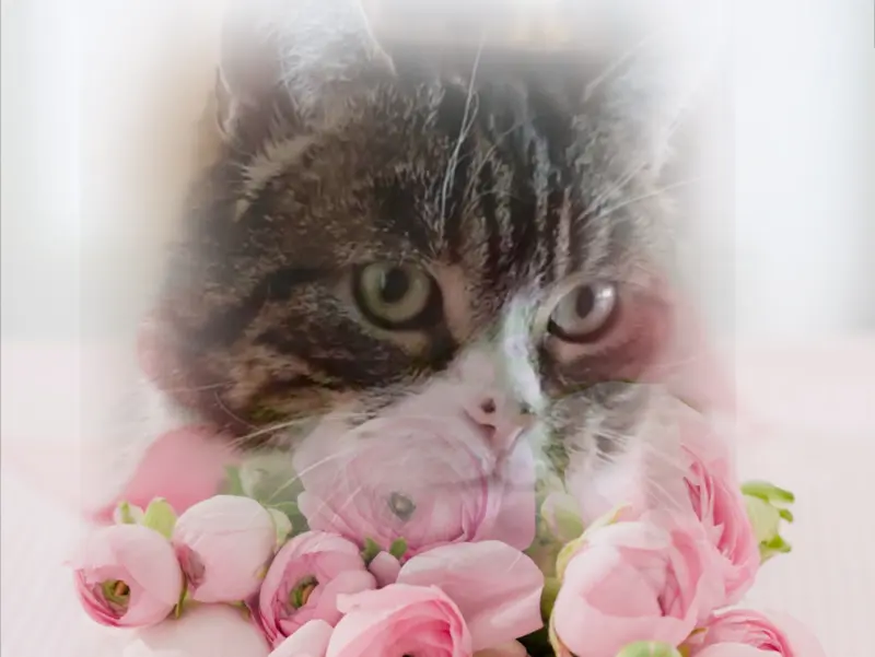 Condolence image of Patricia