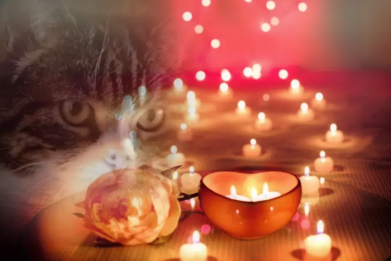 Condolence image of Sternchenpost ⭐