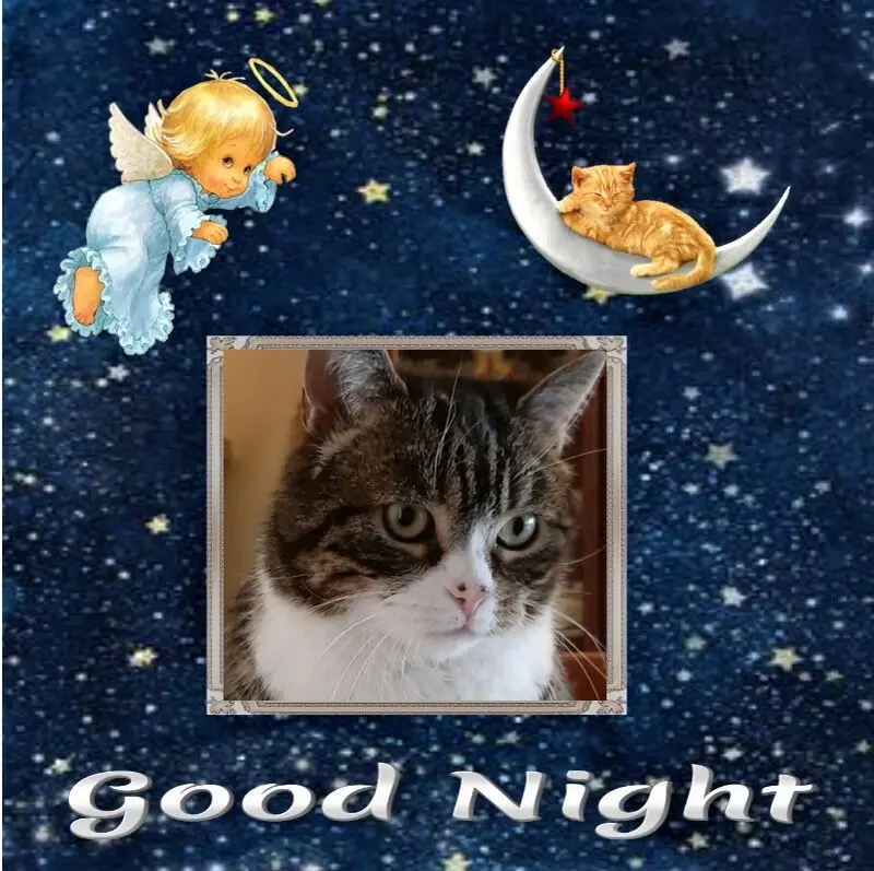 Condolence image of Gute Nacht❤️❤️❤️