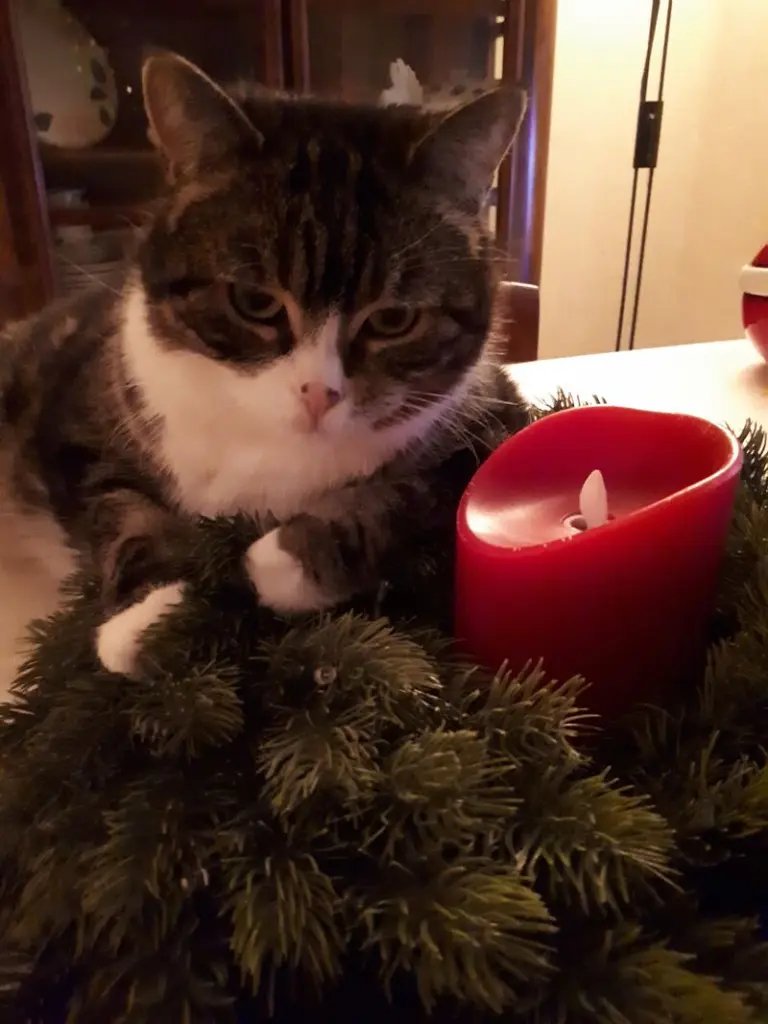 Condolence image of Mama
