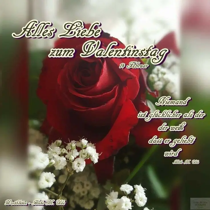 Condolence image of Für das Sternchen Mausi♥️