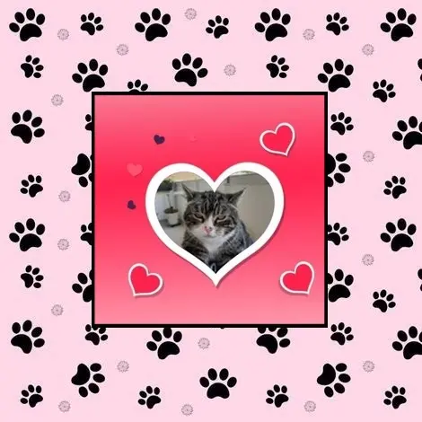 Condolence image of Sonntags❤️Rosen❤️❤️❤️❤️❤️❤️