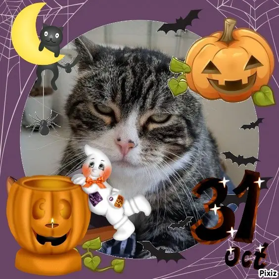 Condolence image of Happy Halloween