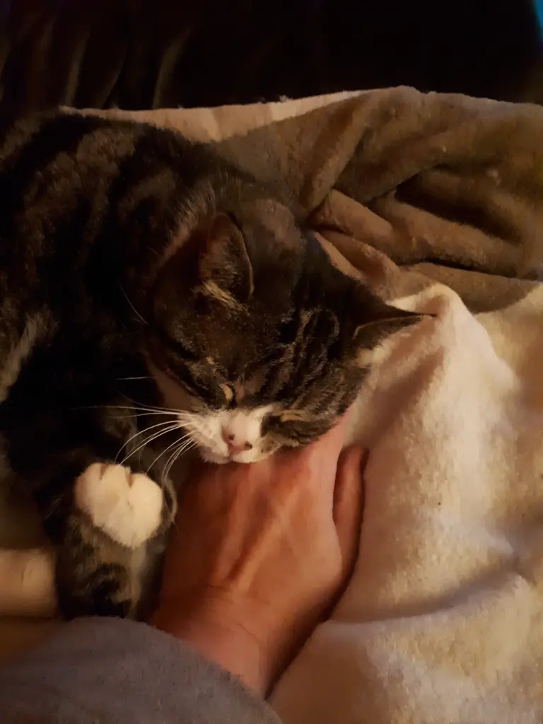 Condolence image of Mama