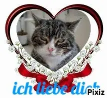 Condolence image of Sternchenpost ⭐