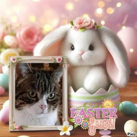 Condolence image of Frohe Ostern