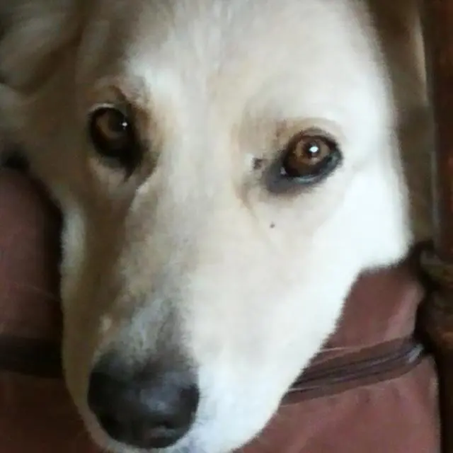 Condolence image of Claudia