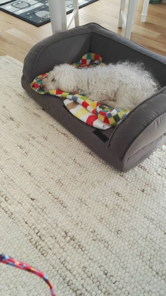 Image from Benny