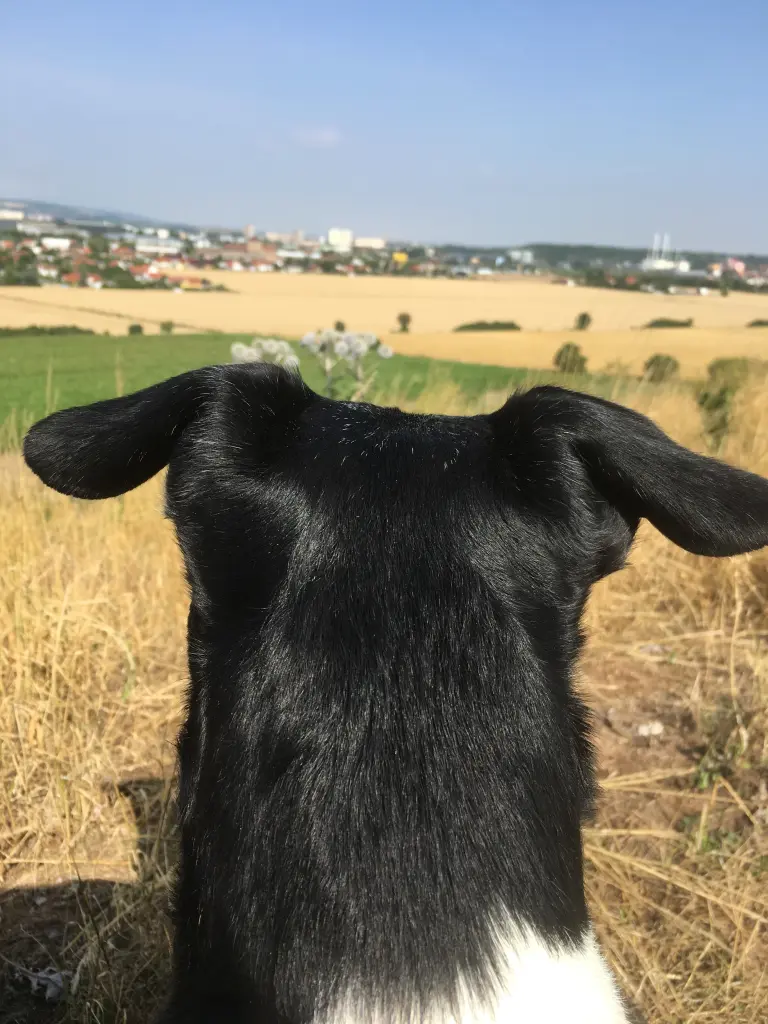 Image from Ben