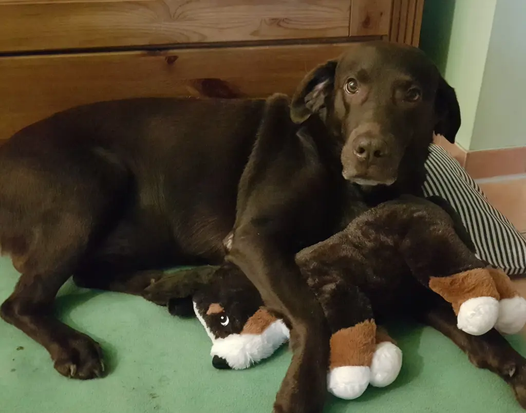 Condolence image of Silvana 