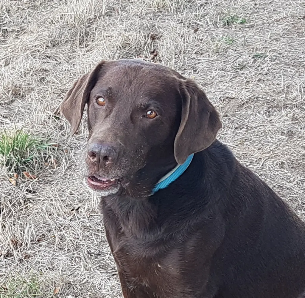 Condolence image of Silvana