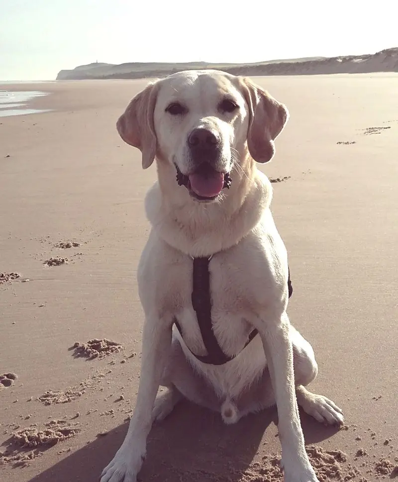 Condolence image of Andrea