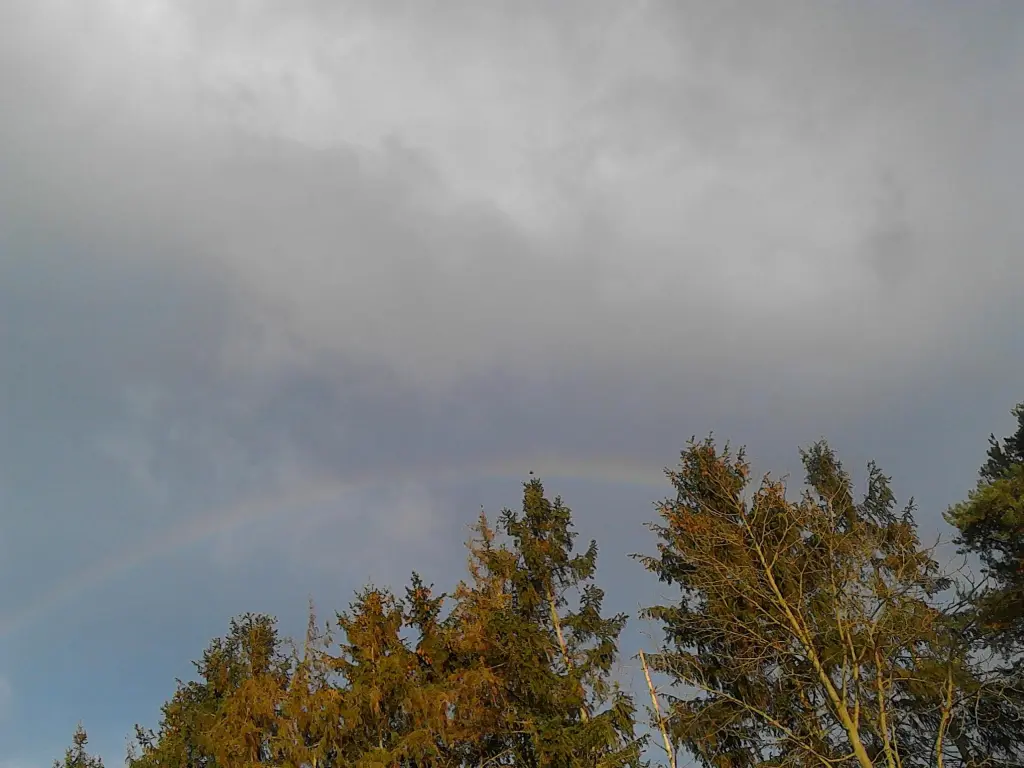 Condolence image of Mama