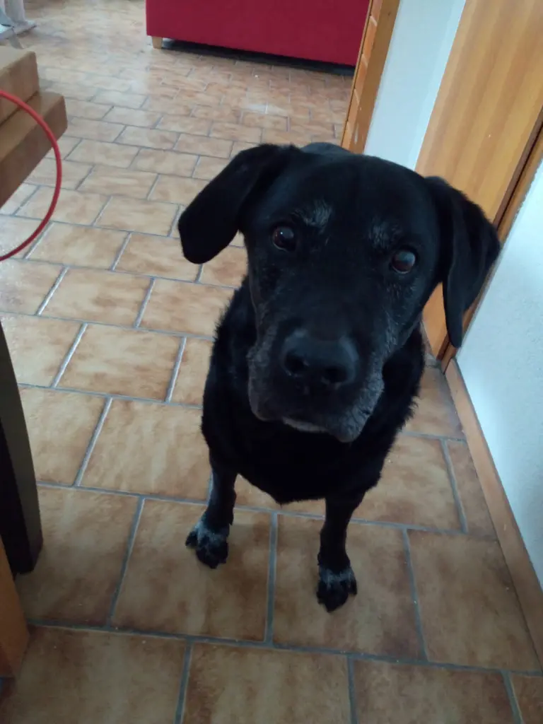 Condolence image of Mama