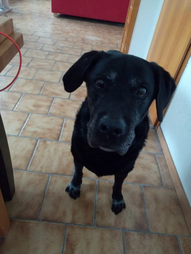 Condolence image of Mama